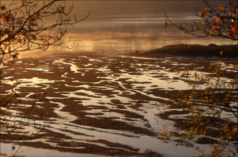 Ile d’Houat Décembre 1997