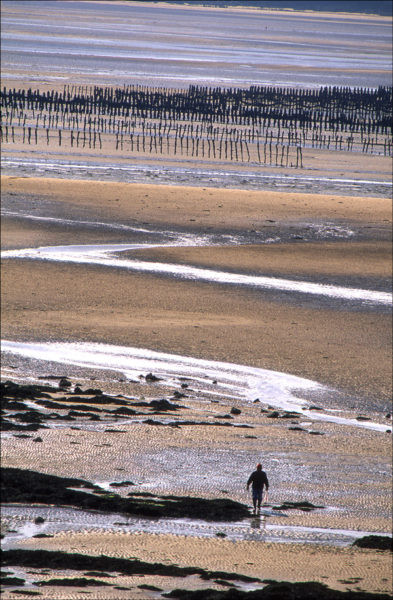 Ile de la Colombière. Saint-Jacut de la Mer. Septembre 1998