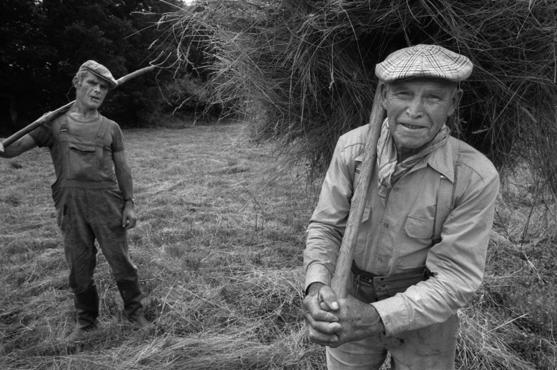 Emile Piette et son fils Francis, pendant la fenaison. Kerrouet, Saint-Gouéno.